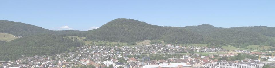 Bild von Lausen