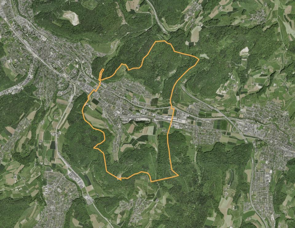 Luftaufnahme Lausebn